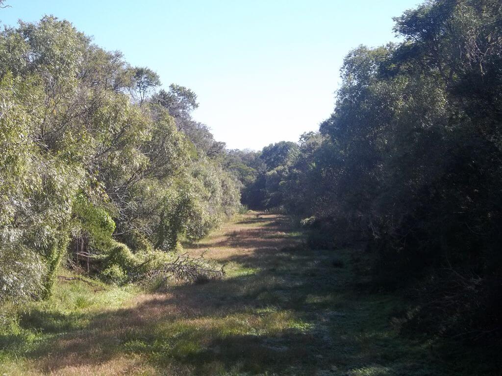 The Gran Chaco A Blend of Biodiversity and Challenges LAC Geo